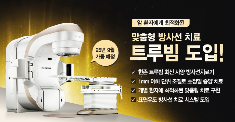트루빔 도입